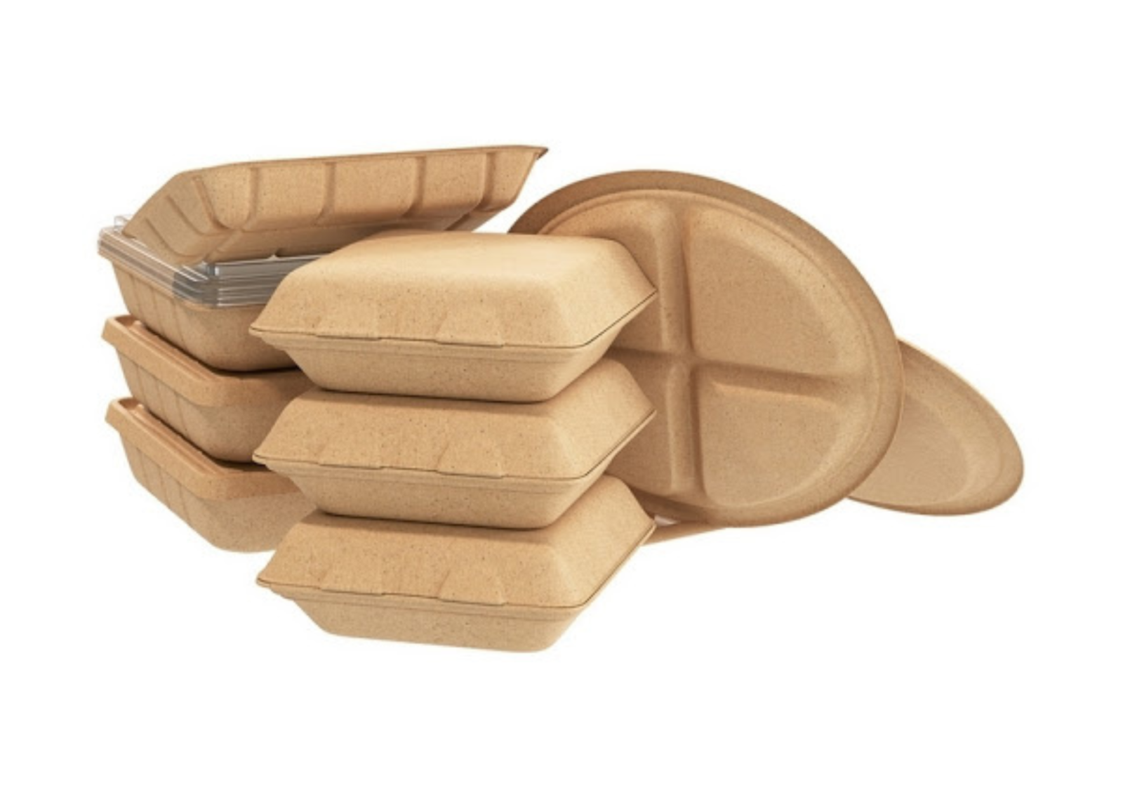 News SAFE Safe Food Advocacy Europe