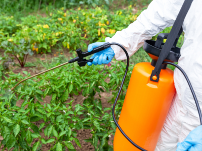 The EC adopts a renewal of glyphosate for 10 years