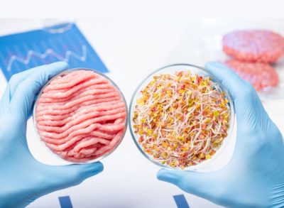 SAFE releases a Report on Marketing Standards and Novel Foods