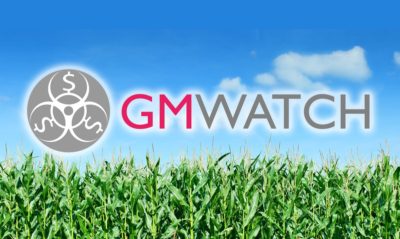 EU consumers could lose the battle for GMO-free organic food, SAFE warns