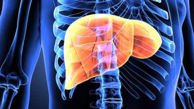 Call for unhealthy food tax to protect liver health