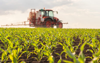Belgium taken to court for emergency authorisation of toxic pesticides