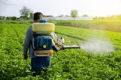Over 30 scientists warn against Food and Feed Safety Omnibus in ‘Science’